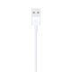 Apple Lightning to USB Cable 2.0m