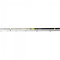 Black Cat Solid Spin Catfish Rod Black 2.40 M / 40-160 G
