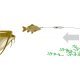 MadCat Adjusta Basic River Rig - Livebait 20G