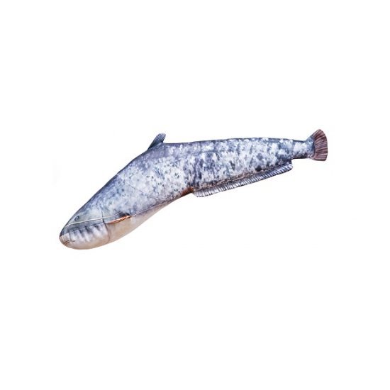 Gaby The Small Catfish Pillow 62cm