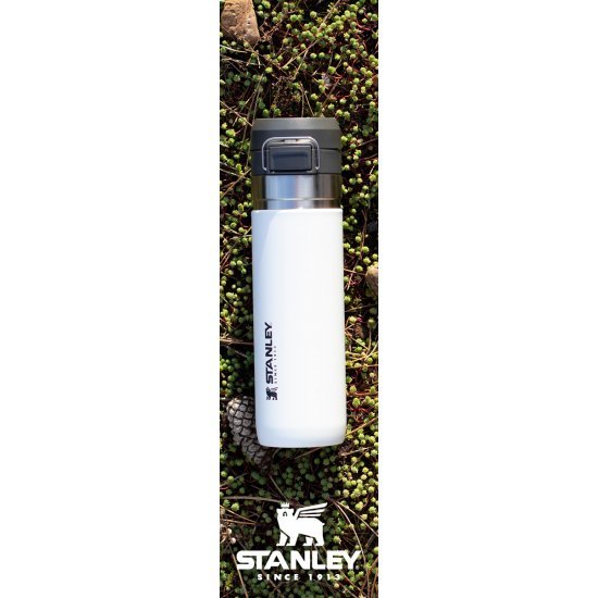 Stanley 24 oz. Quick Flip Go Water Bottle, Polar
