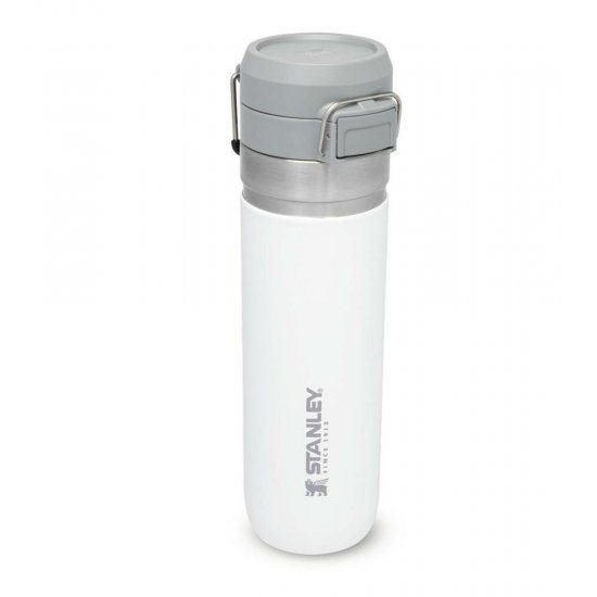 Stanley 8 oz Classic Easy Fill Wide Mouth Flask Polar