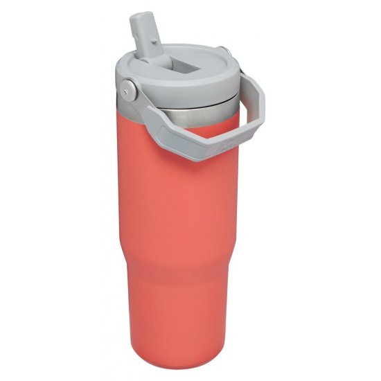 Stanley IceFlow Flip Straw Tumbler - 30oz - Blaze Orange, Water Bottles