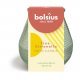 Bolsius Patiolight True Citronella Green